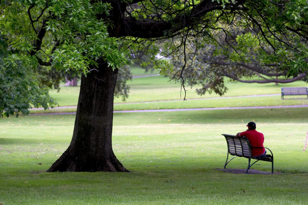 Man in red shirt and blue cap facing away from the camera and seated on bench underneath a tree in the Fitzroy Gardens